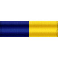 Delaware National Guard Medal Ribbon